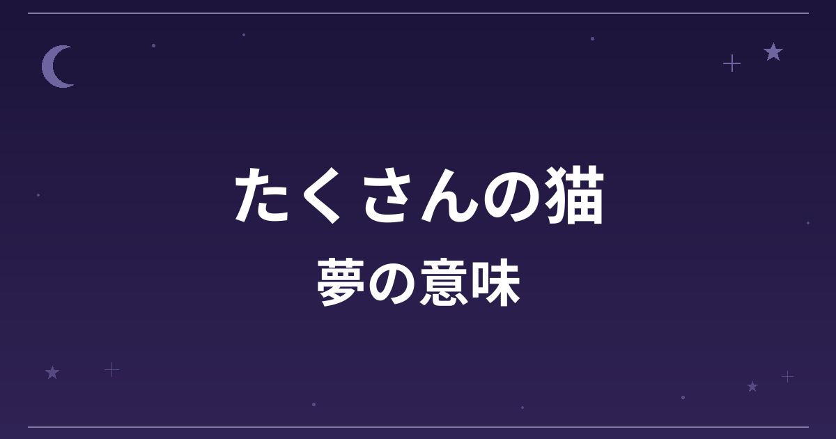 【夢占い】たくさんの猫の夢の意味は？吉と凶の分かれ目と金運・対人運への影響を解説