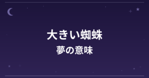 【夢占い】大きい蜘蛛の夢の意味は？意外な暗示と対人運・仕事運への影響を解説