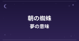 【夢占い】朝の蜘蛛の夢の意味は？吉と全体運・金運への影響を解説