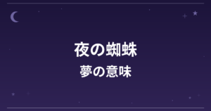 【夢占い】夜の蜘蛛の夢の意味は？凶と金運・対人運への影響を解説